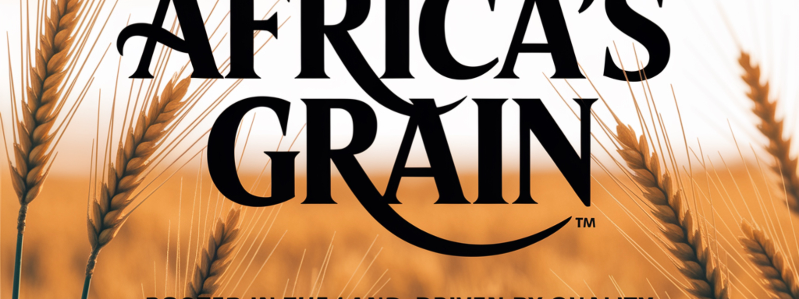 Empowering Communities 