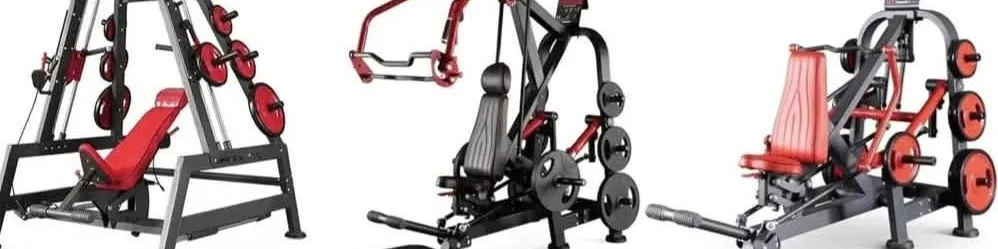  "First Gym Orewa $150k"