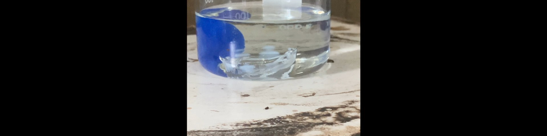 BIOTECNOLOGIA ANCESTRAL